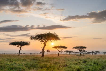 Bild-Nr: 12735242 Sonnenaufgang in der Masai Mara in Kenia Erstellt von: eyetronic