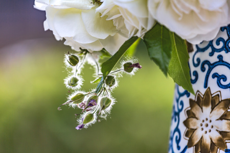 Bild-Nr: 12735518 Sommerblüten im Krug   Erstellt von: Ursula Reins