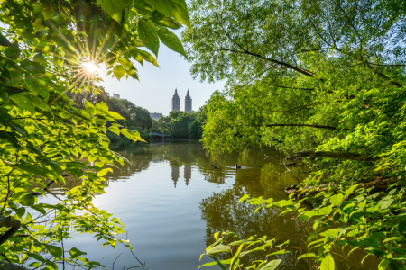 Bild-Nr: 12735595 New York Central Park im Sommer Erstellt von: eyetronic