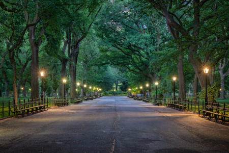 Bild-Nr: 12735600 The Mall im Central Park New York Erstellt von: eyetronic