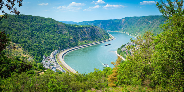 Bild-Nr: 12735610 Rheinschleife bei Hirzenach -8- Erstellt von: Erhard Hess