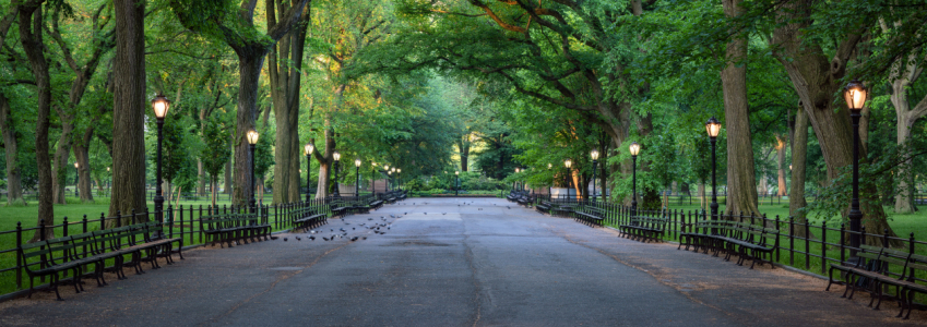 Bild-Nr: 12735742 Central Park New York Panorama Erstellt von: eyetronic