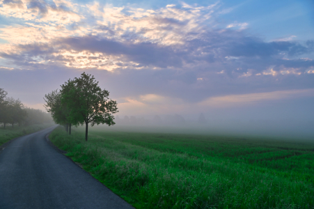 Bild-Nr: 12738026 Wolken und Licht am Morgen Erstellt von: falconer59