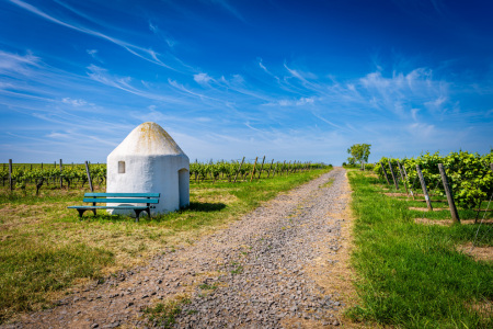 Bild-Nr: 12738593 Trullo am Wingertsberg 57 Erstellt von: Erhard Hess