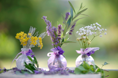 Bild-Nr: 12738895 Kräuter Potpourri aus dem Garten Erstellt von: Tanja Riedel