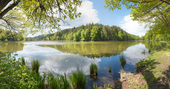 Bild-Nr: 12739474 Frühling am See Erstellt von: SusaZoom