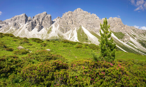 Bild-Nr: 12739636 Stubaital Erstellt von: wompus