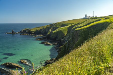 Bild-Nr: 12739750 Lizard Point und Leuchtturm Erstellt von: reisefoto