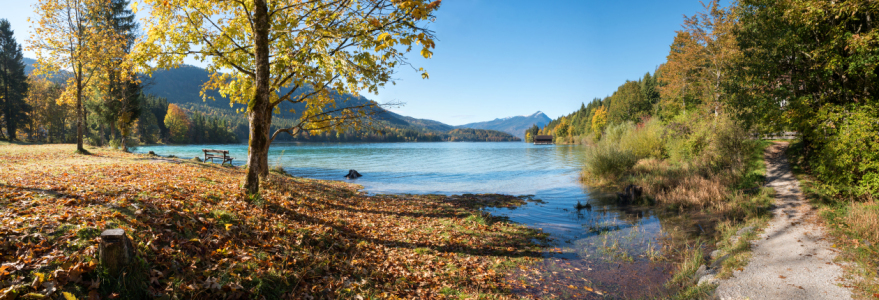 Bild-Nr: 12740044 Herbstliches Walchenseeufer Erstellt von: SusaZoom