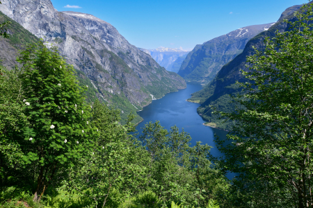 Bild-Nr: 12740181 Fjordlandschaft Erstellt von: Bettina Schnittert