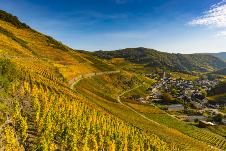 Bild-Nr: 12740632 Herbst im Ahrtal Erstellt von: Walter G. Allgöwer