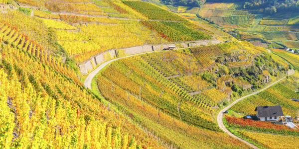 Bild-Nr: 12740633 Ahrtal im Herbst Erstellt von: Walter G. Allgöwer