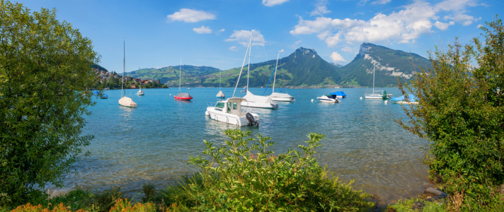 Bild-Nr: 12740678 Segelboote in Faulensee - Blick zum Niederhorn  Erstellt von: SusaZoom