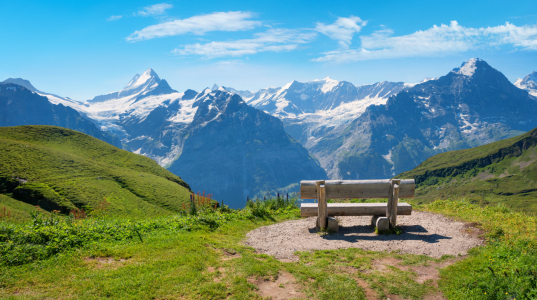 Bild-Nr: 12740773 Bergblick Grindelwald First Erstellt von: SusaZoom