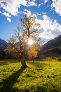 Bild-Nr: 12741582 Goldene Abendsonne am Ahornboden Erstellt von: SusaZoom