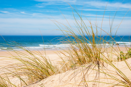 Bild-Nr: 12741776 Sanddünen am Meer Erstellt von: SusaZoom