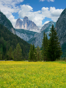 Bild-Nr: 12741826 Drei Zinnen Blick - Dolomiten Südtirol Erstellt von: Reiner Würz