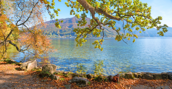 Bild-Nr: 12742028 Herbstliches Traunseeufer in Gmunden Erstellt von: SusaZoom