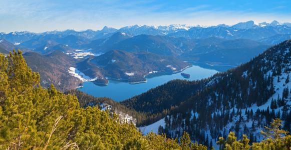 Bild-Nr: 12742624 Walchenseeblick vom Heryogstand Erstellt von: SusaZoom