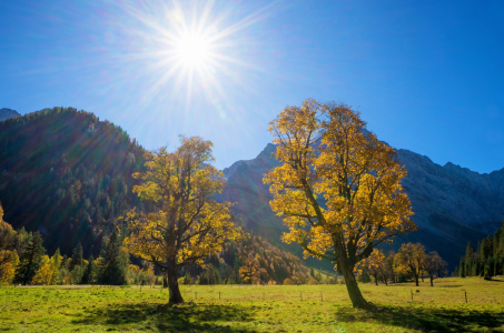 Bild-Nr: 12742873 Zwei Ahornbäume im Karwendel Erstellt von: SusaZoom
