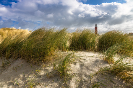 Bild-Nr: 12744193 Leuchtturm und Dünen auf Texel Erstellt von: Daniela Beyer