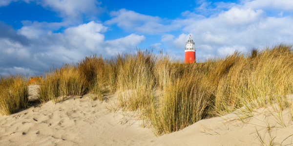 Bild-Nr: 12744219 Blick zum Leuchtturm auf Texel Panoramaformat Erstellt von: Daniela Beyer
