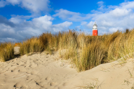 Bild-Nr: 12744223 Blick zum Leuchtturm auf Texel Erstellt von: Daniela Beyer