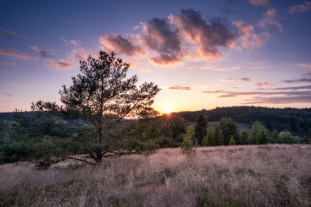 Bild-Nr: 12744411 Sommer im Harz  Erstellt von: Steffen Henze