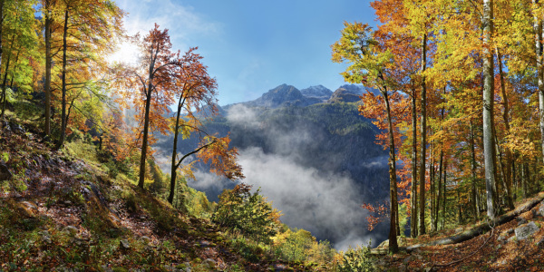 Bild-Nr: 12744812 Herbstlicher Bergwald Erstellt von: Michael und Elisabeth Rucker