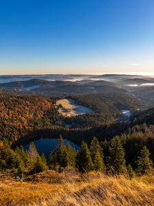 Bild-Nr: 12746270 Blick vom Feldberg über den Schwarzwald Erstellt von: dieterich