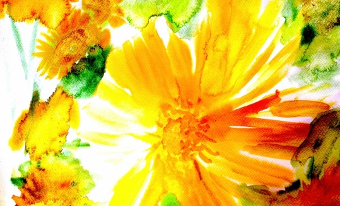 Bild-Nr: 12746416 Astern Erstellt von: M.A. Ziehr