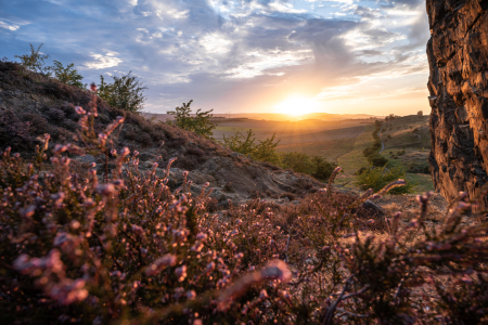 Bild-Nr: 12747180 Sonnenuntergang bei Weddersleben im Harz  Erstellt von: Steffen Henze