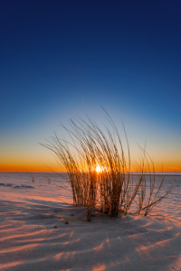 Bild-Nr: 12747285 Sonnenuntergang am Strand Erstellt von: DirkR