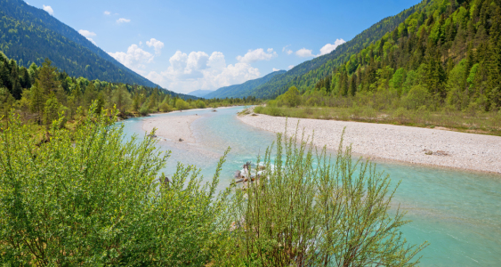 Bild-Nr: 12747370 Sommer an der Oberen Isar Erstellt von: SusaZoom