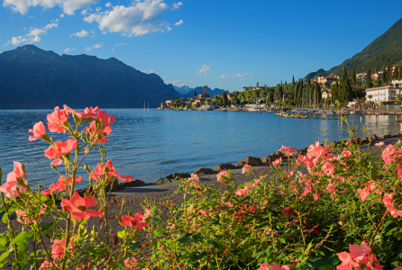 Bild-Nr: 12747424 Seeufer Promenade Malcesine am Gardasee Erstellt von: SusaZoom