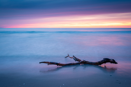Bild-Nr: 12747460 Sonnenuntergang an der Ostsee auf Darß Erstellt von: Martin Wasilewski
