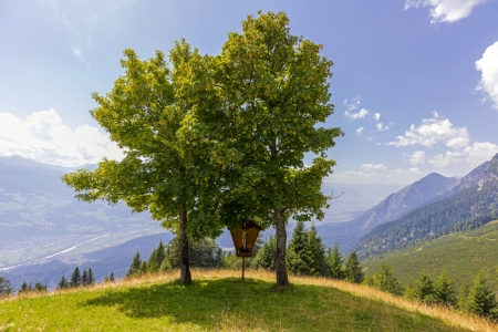 Bild-Nr: 12747895 Karwendel Erstellt von: wompus