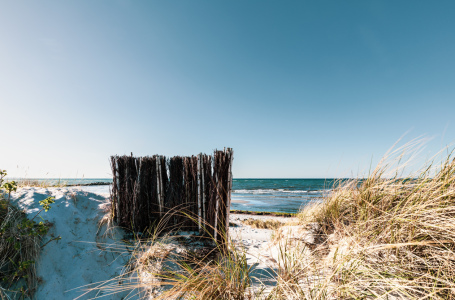 Bild-Nr: 12747898 Dünen am Ostseestrand   Erstellt von: Ursula Reins
