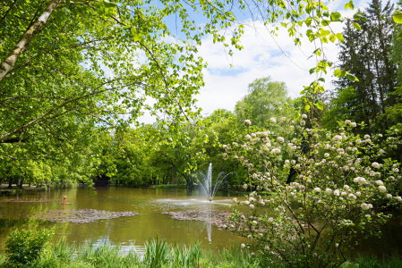 Bild-Nr: 12748141 Frühling am Aiblinger Parksee Erstellt von: SusaZoom