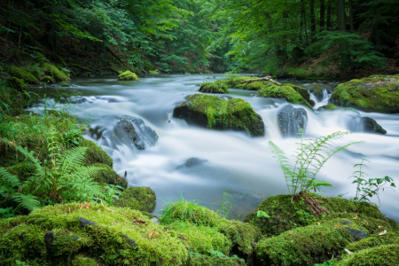 Bild-Nr: 12748461 Sommer an der Bode im Harz Erstellt von: Martin Wasilewski