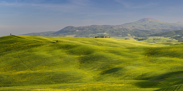 Bild-Nr: 12748965 Landschaft um Pienza Erstellt von: Walter G. Allgöwer