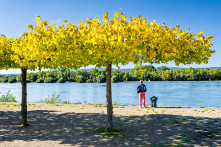 Bild-Nr: 12750033 Frau Am Rheinufer 39 Erstellt von: Erhard Hess