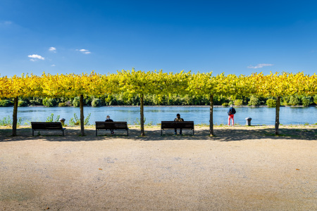 Bild-Nr: 12750035 Am Rheinufer 42 Erstellt von: Erhard Hess