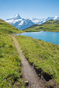 Bild-Nr: 12750172 Wanderweg am Bachalpsee Erstellt von: SusaZoom