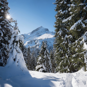 Bild-Nr: 12750175 Blick zur Alpspitze Winterlandschaft Erstellt von: SusaZoom