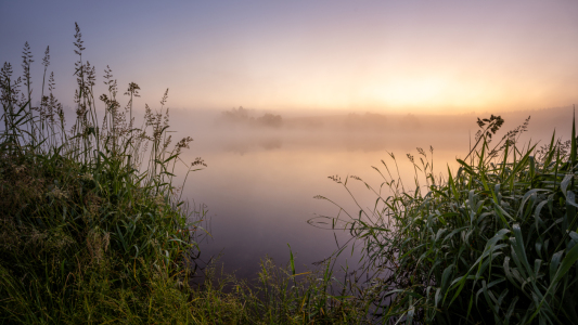 Bild-Nr: 12750179 Good morning in the Harz  Erstellt von: Steffen Henze