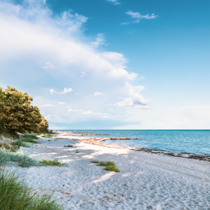 Bild-Nr: 12751176 Am Strand entlang  --- Erstellt von: Ursula Reins
