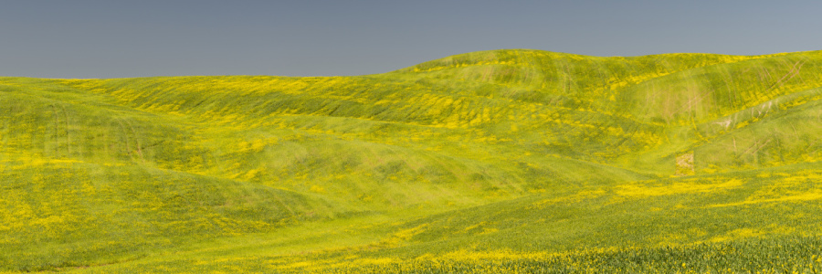 Bild-Nr: 12751388 Val d\'Orcia Erstellt von: Walter G. Allgöwer