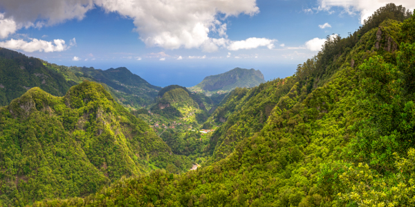Bild-Nr: 12752164 Madeiras Norden Panorama Erstellt von: Thomas Herzog