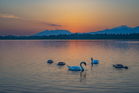 Bild-Nr: 12752306 vor Sonnenaufgang Erstellt von: Walter G. Allgöwer